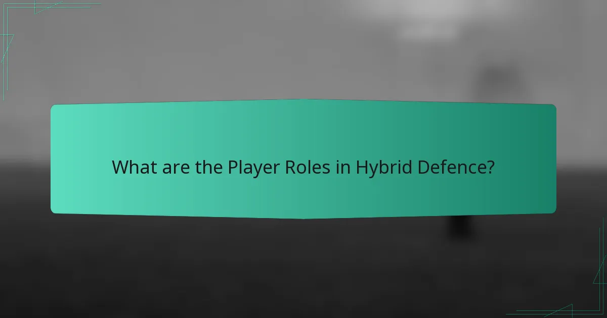 What are the Player Roles in Hybrid Defence?