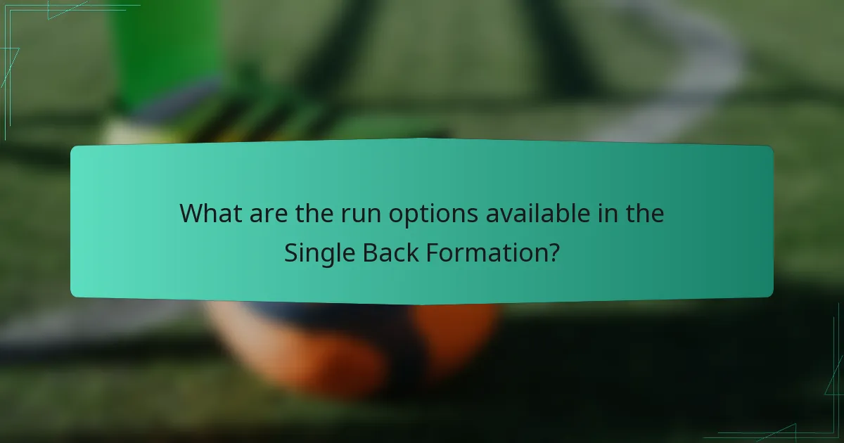 What are the run options available in the Single Back Formation?